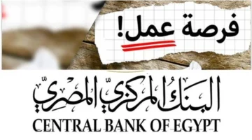 فرصة وظيفية.. البنك المركزي يطرح وظيفة جديدة ومؤهلات محددة